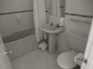 Hotel Photos