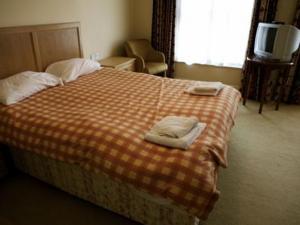 Hotel Photos