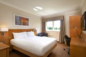 Hotel Photos