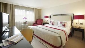 Hotel Photos