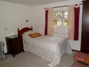 Hotel Photos
