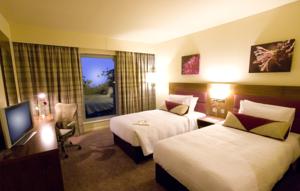 Hotel Photos