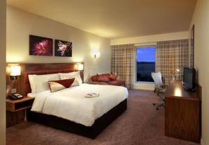 Hotel Photos