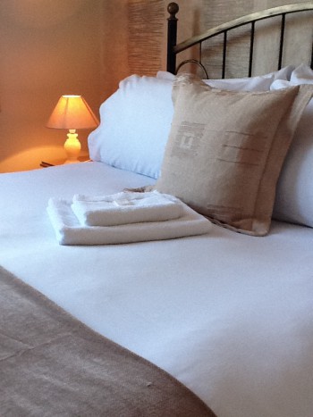 Hotel Photos