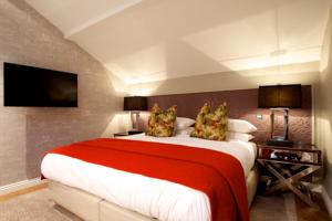 Hotel Photos