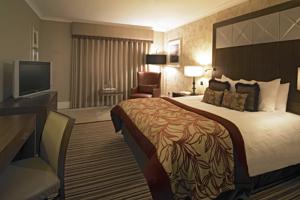 Hotel Photos