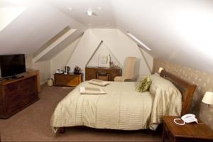 Hotel Photos