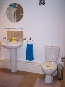 Hotel Photos