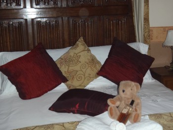 Hotel Photos