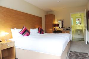 Hotel Photos