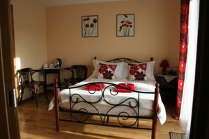 Hotel Photos