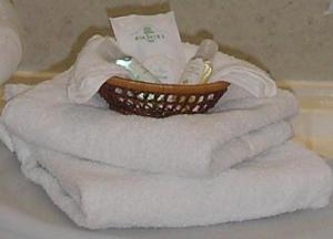 Hotel Photos