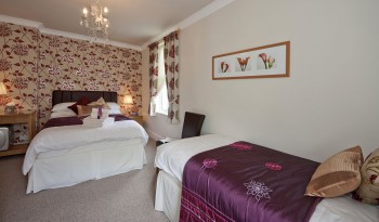 Hotel Photos