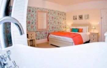 Hotel Photos