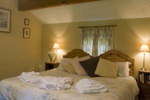 Hotel Photos