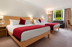 Hotel Photos