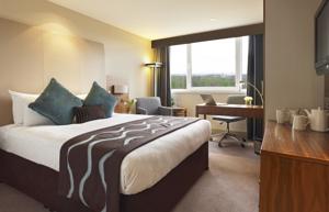 Hotel Photos