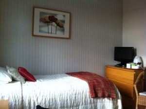 Hotel Photos