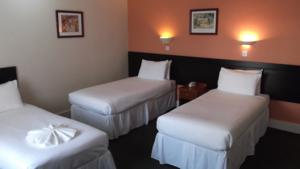 Hotel Photos