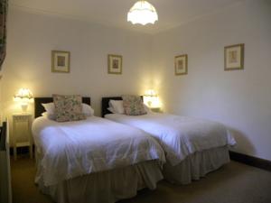 Hotel Photos