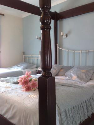 Additional Photo 5