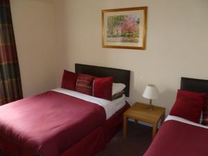Hotel Photos