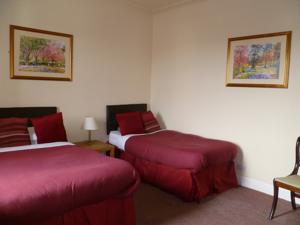 Hotel Photos
