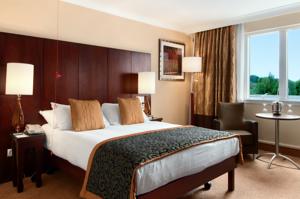 Hotel Photos
