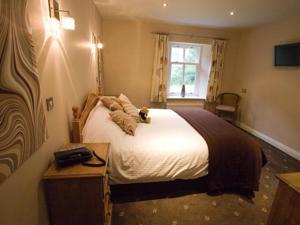 Hotel Photos