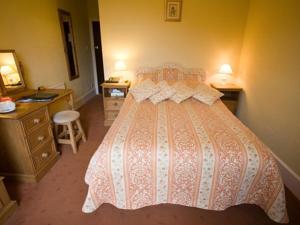 Hotel Photos