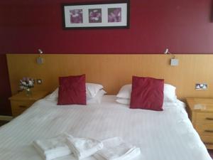 Hotel Photos