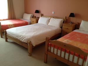 Hotel Photos
