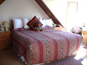 Hotel Photos