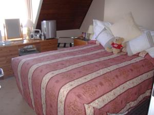 Hotel Photos