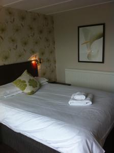 Hotel Photos