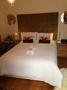 Hotel Photos