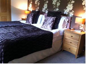 Hotel Photos
