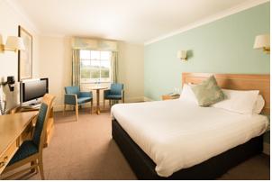 Hotel Photos