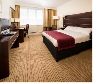 Hotel Photos