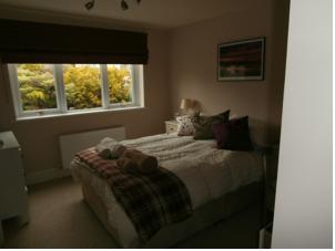 Hotel Photos