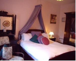 Hotel Photos