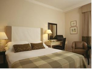 Hotel Photos