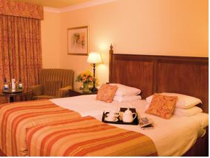 Hotel Photos