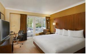 Hotel Photos