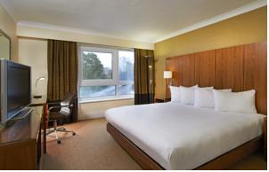 Hotel Photos