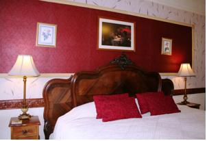 Hotel Photos
