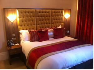 Hotel Photos