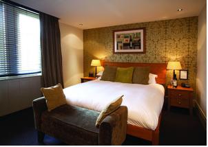 Hotel Photos