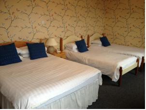 Hotel Photos