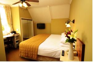 Hotel Photos